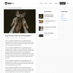 Mai Content Sidebar Sidebar Layout